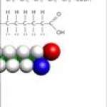 Telített, egyértékű karbonsav-molekula részlete